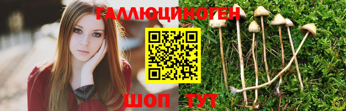 Галлюциногенные грибы прущие грибы Малоярославец
