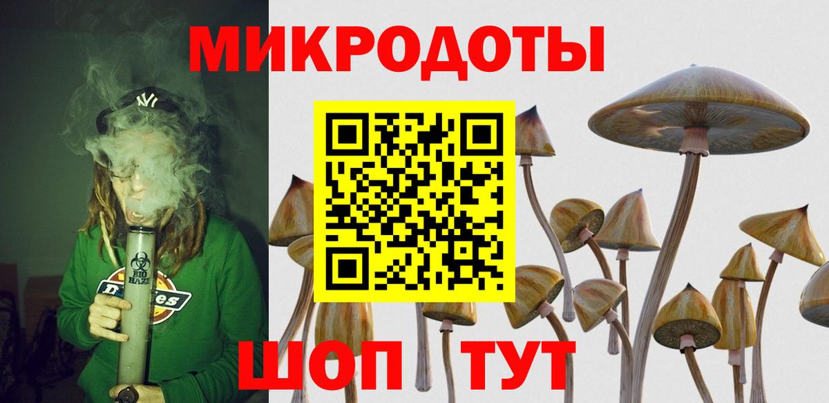 Малоярославец  Псилоцибиновые грибы Psilocybe  Галлюциногенные грибы прущие грибы  Вход с VPN 